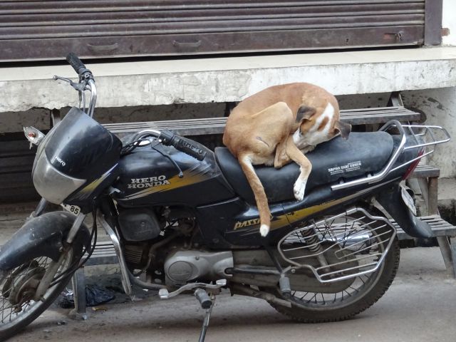 Lucknow